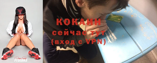 мет Няндома