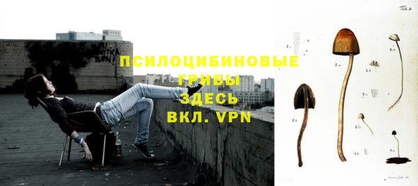 прущий лед Нягань