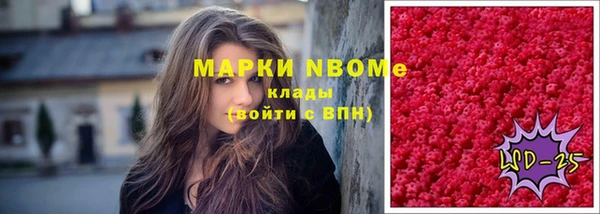мет Няндома