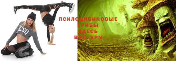 мет Няндома