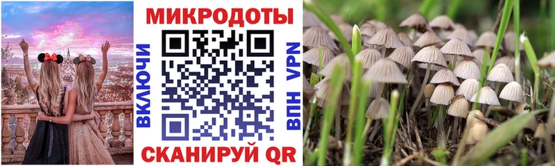 где можно купить   блэк спрут ТОР  Галлюциногенные грибы Cubensis  Западная Двина 